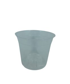 כלי שקוף לסחלב