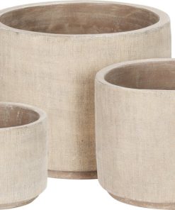 Alternative view of עציץ דליה