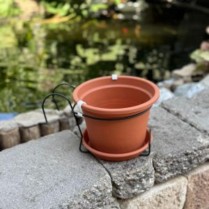 עציץ גפן למעקה