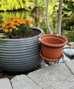 עציץ גפן למעקה