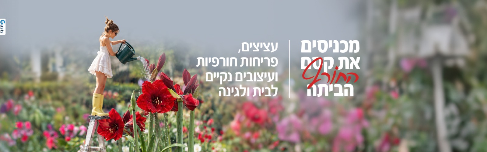 מכניסים את קסם החורף הביתה