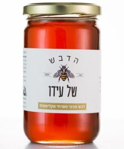 Alternative view of דבש