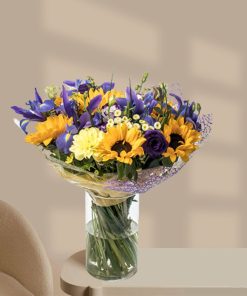 חמניות חורפי