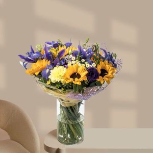 חמניות חורפי