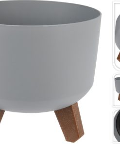 Alternative view of עציץ אסיה