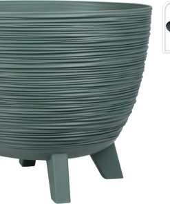 עציץ מחוספס ירקרק