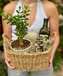 מארז אור גדול