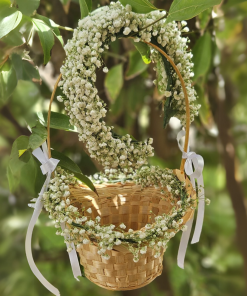 טנא וזר לראש