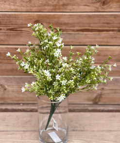 בוקט תפרחת חדש kr-10