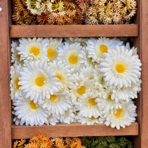 ביגי מרגרטה