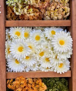 ביגי מרגרטה