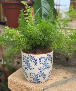 עציץ קרמיקה פייזלי כחול