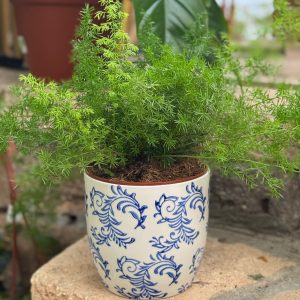 עציץ קרמיקה פייזלי כחול