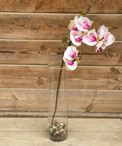 סחלב סינתטי