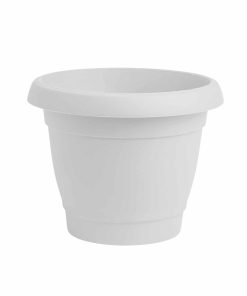 Alternative view of כרמל