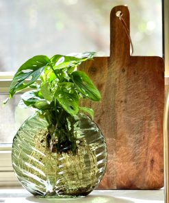 מארז ליבלוב