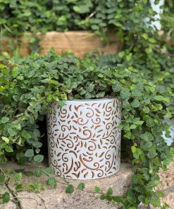 עציץ קרמיקה עלים חום