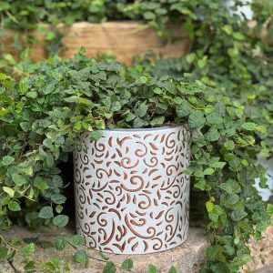 עציץ קרמיקה עלים חום