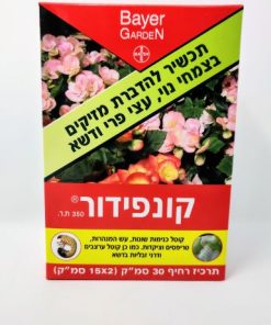 קונפידור/ קונפידנס