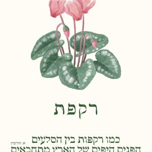 כרטיס רקפת