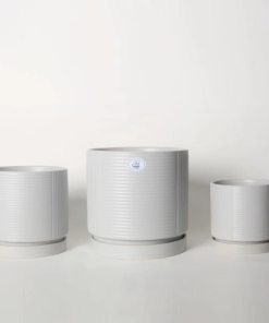 עציץ אוטופיק אפור