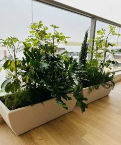 Alternative view of עציץ פלסטיק DALIA