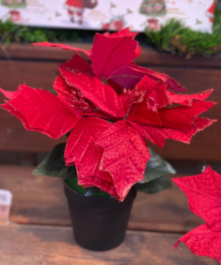 חלבלוב סינתטי