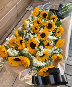 Alternative view of זר אבל פרונטלי