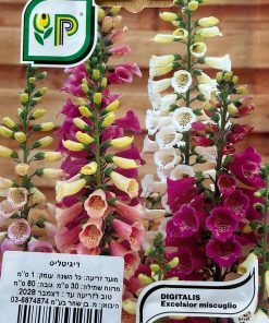 דיגיטליס זרעים