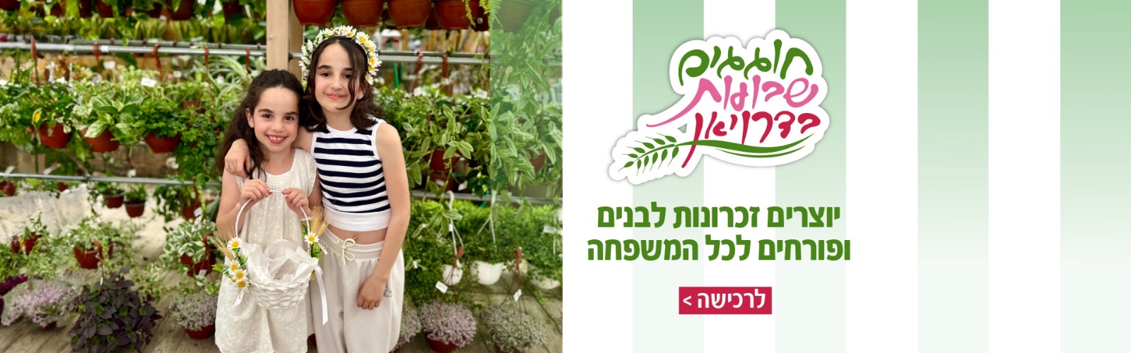 שבועות במשתלה