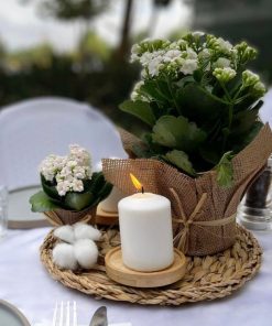 סידור שולחן ניצנית