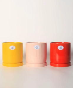 עציץ אוטופיק צבעוני