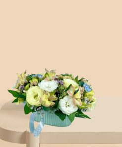 סידור איזבלה