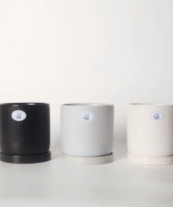 עציץ אוטופיק אפור שחור לבן