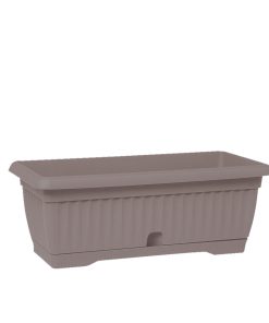 אדנית גולן + תחתית