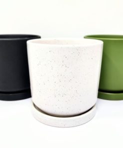 כלי קרמיקה גודל 12