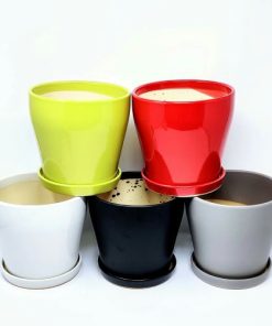 עציצי קרמיקה