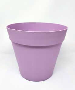 עציץ קוניקו (אביב)