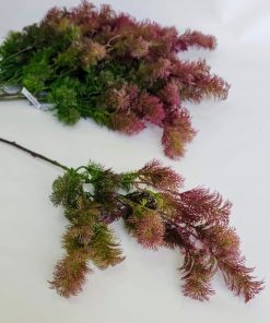 ענף עשב יער סגול