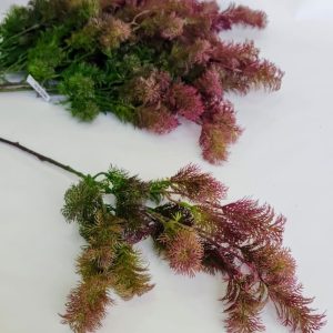 ענף עשב יער סגול