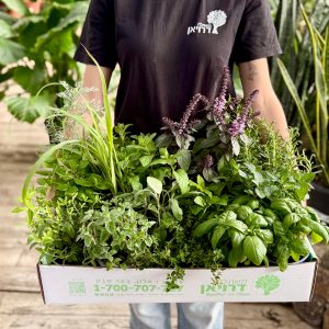 מארז תבלינים