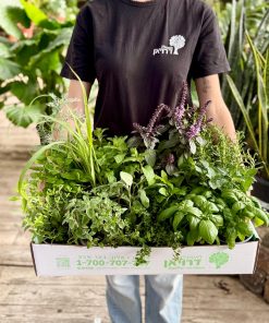 מארז תבלינים