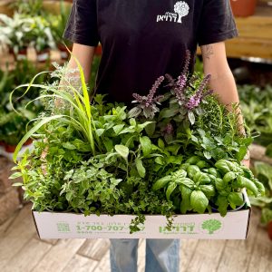 מארז תבלינים