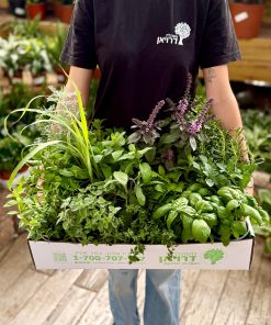 מארז תבלינים