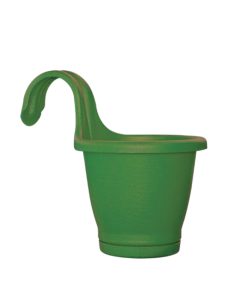 Alternative view of עציץ וו בודד