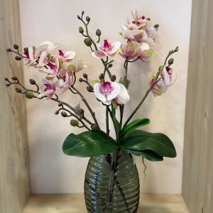 ואזה עלה ירוק