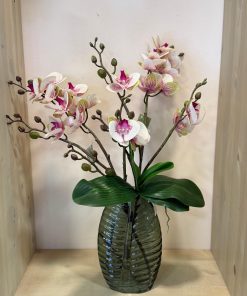 ואזה עלה ירוק