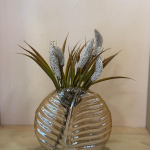 ואזה עלה חום