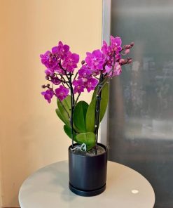 מולטי כלי שחור