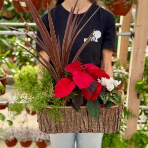 קוקטייל נוביגוד